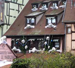 Vorweihnachtszeit in Colmar