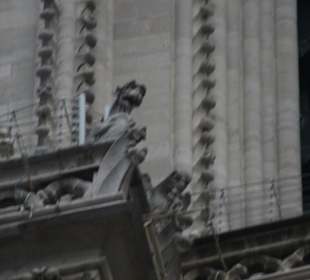 Dettaglio dell'architettura