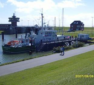 Das Zollboot!