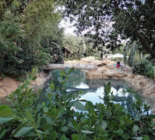 Super schöne Anlage