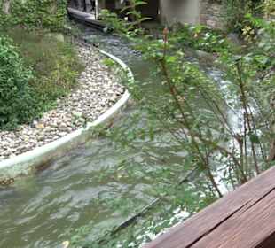 Erlebnispark Tripsdrill