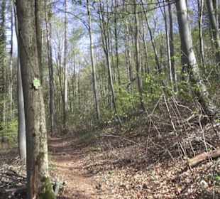 Wanderweg Hochgehkämpft