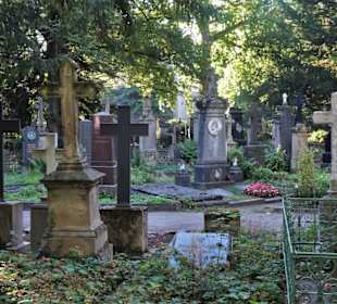 Rundgang über den Alten Friedhof Bonn