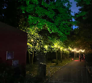 Mondo Verde Halloween