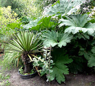 Rundgang durch den Botanischen Garten Oldenburg