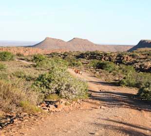 Unterwegs im Karoo National Park