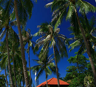 Strand Maenam beim Hotel Pinnacle Samui