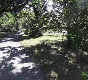 Botanischer Garten