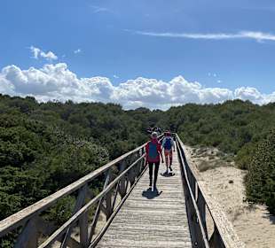 Wandern Can Picafort