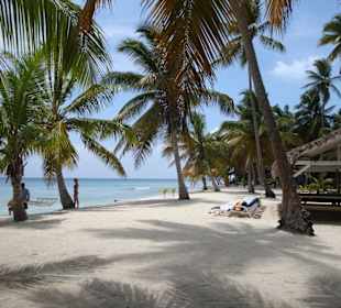Sonne, Palmen, Strand und Meer - was will man mehr