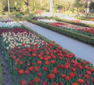 Real Jardín Botánico de Madrid