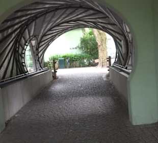 Tierpark Hellabrunn - Welt der Affen