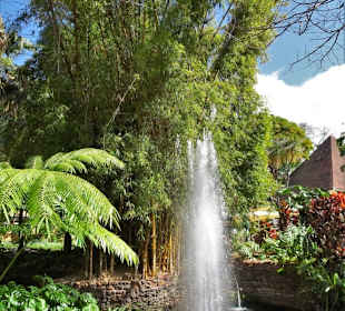 Impressionen aus dem Stadtpark von Funchal