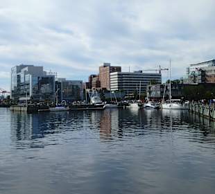 Teilansicht des Hafens