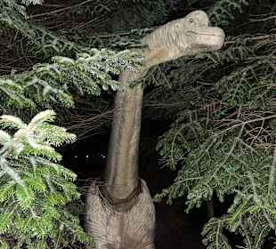 Mondo Verde Halloween