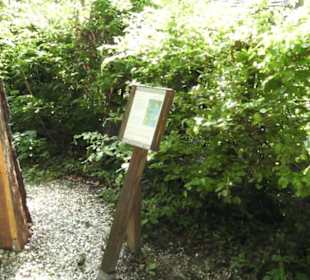 Burgruine Hohenstaufen