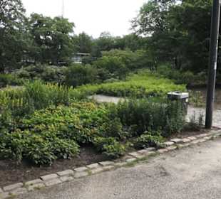 Alter Botanischer Garten