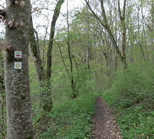 Burgfelsenpfad