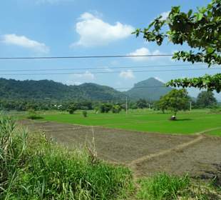 Elefantenreiten Sigiriya