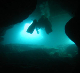 Bild vom Card Partner