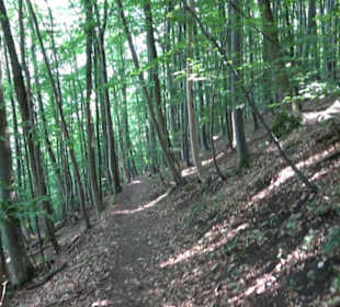 Premiumwanderweg "hochgelegen"