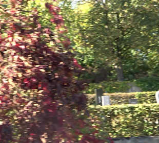 Neuer Friedhof Heudorf