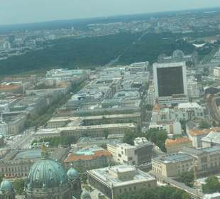 Blick über Tiergarten