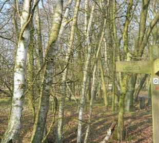 Wunderschöne Boberger Niederung