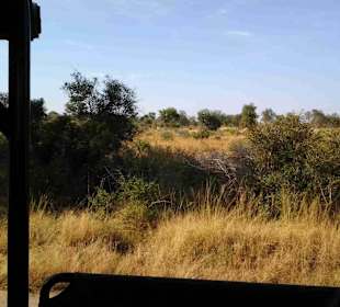 Krüger Nationalpark