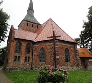Wygląd zewnętrzny