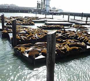 Fisherman´s Wharf