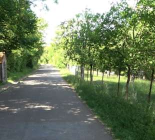 Früchtetrauf - Wurmlinger Kapellenwegle