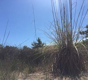 Stadtrundgang Agios Georgios