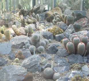 Orto botanico di Praga