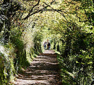 Zwischen Erlenbach und Klingenberg
