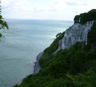 Blick vom Königsstuhl