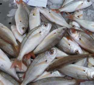 In der Abteilung für Fische und Meeresfrüchte