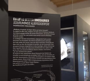 Dinosaurier Museum Altmühltal