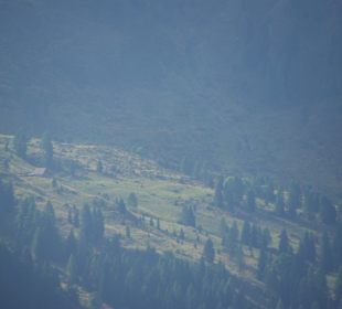 Im Hintergrund die Alm