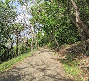 Auf dem Weg zur Festung