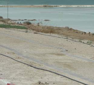 Już widać oleistość