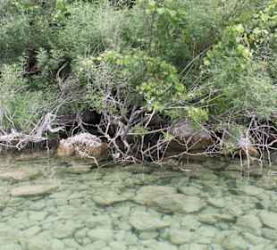 Озеро Курнас 