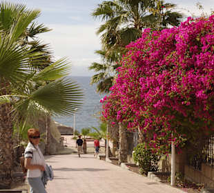 Promenade El Duque