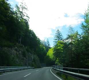 Am Anfang vom Plöcken