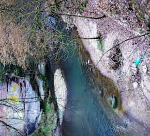 Rückblick in die Schwarzach