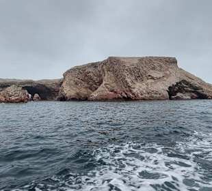 Ausflug Ballestas Inseln