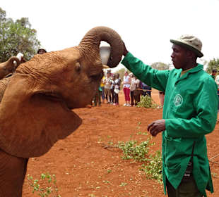 Milch für die Kleinen
