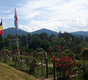 Rosenneuheitengarten