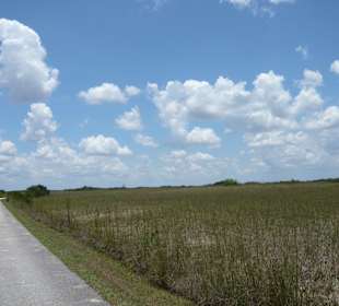 Prärie Everglades