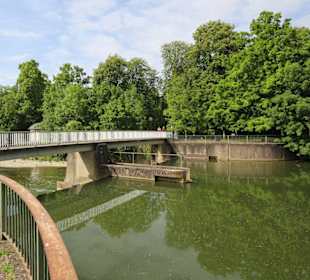 Die Tauber am Schlosspark